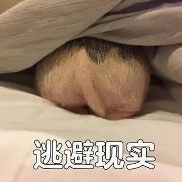 走路啦 - 斗图表情包 - 斗图达人