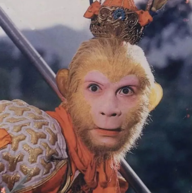 "六学"走红:为什么我们对黑话游戏欲罢不能?_手机搜狐网