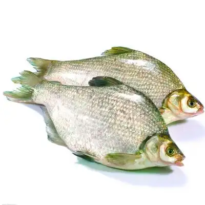 鳊鱼1.2斤左右/条(鲜活宰杀)