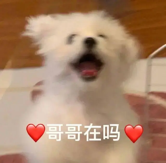 沙雕可爱表情包:你学历是胎教吧?_公众_事情_什么