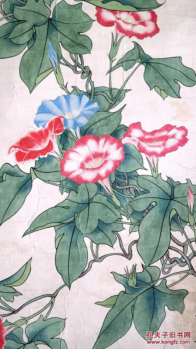 【田世光工笔重彩作品 —— 喇叭花】