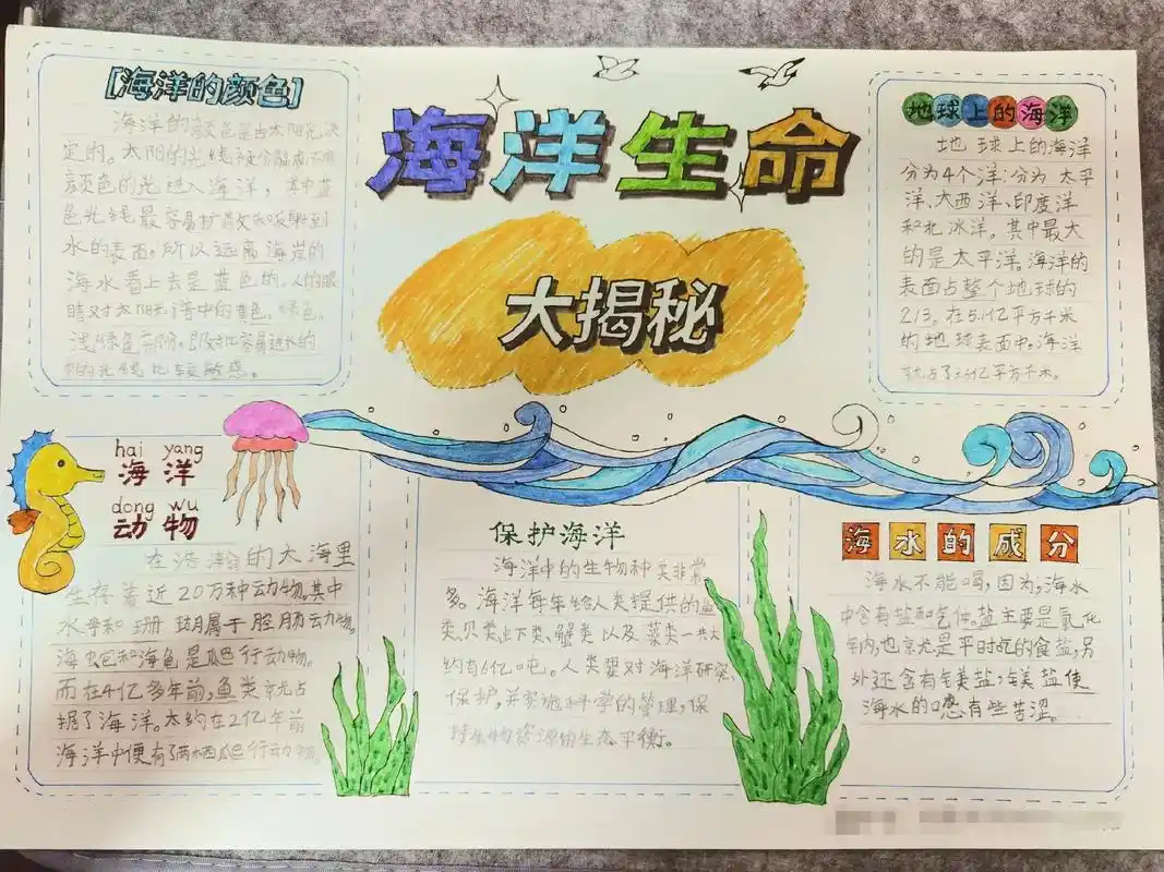 小学生手抄报 #一年级手抄报汇总 读书分享《海洋生命大揭秘 - 兑音