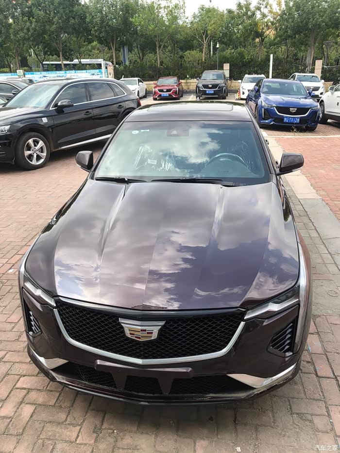 珊瑚紫的凯迪拉克ct4