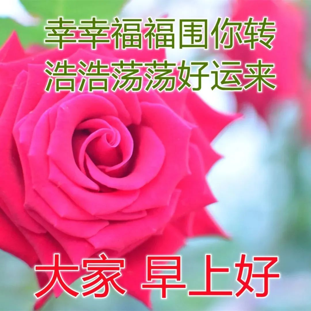 周三最新慰问大家早上好图片大全,早上好祝福语