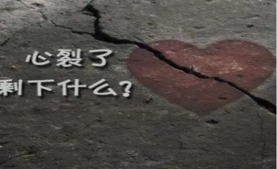 心碎了公募赚钱而我