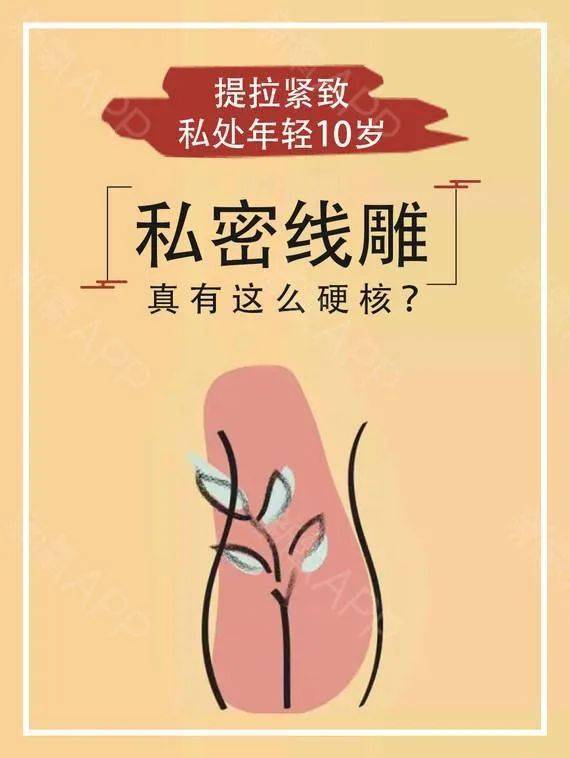 医学美容淄博市妇幼保健院医疗美容科女性私密健康教学科研基地多维