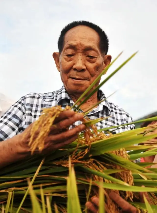 袁隆平:无双国士是怎么炼成的?