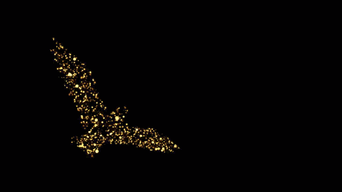 01270202鸡年新春派对springfestivalparty凤凰phoenix