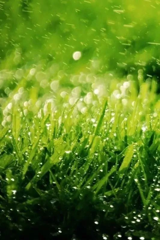 高清微信护眼图,选1张当聊天背景图吧!(附24首养生音乐)