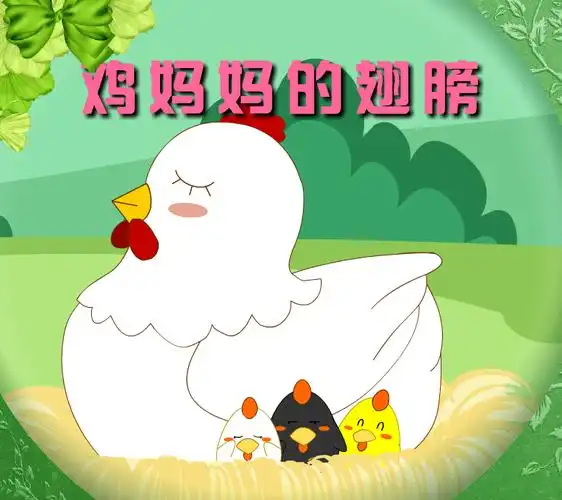 《鸡妈妈的翅膀》