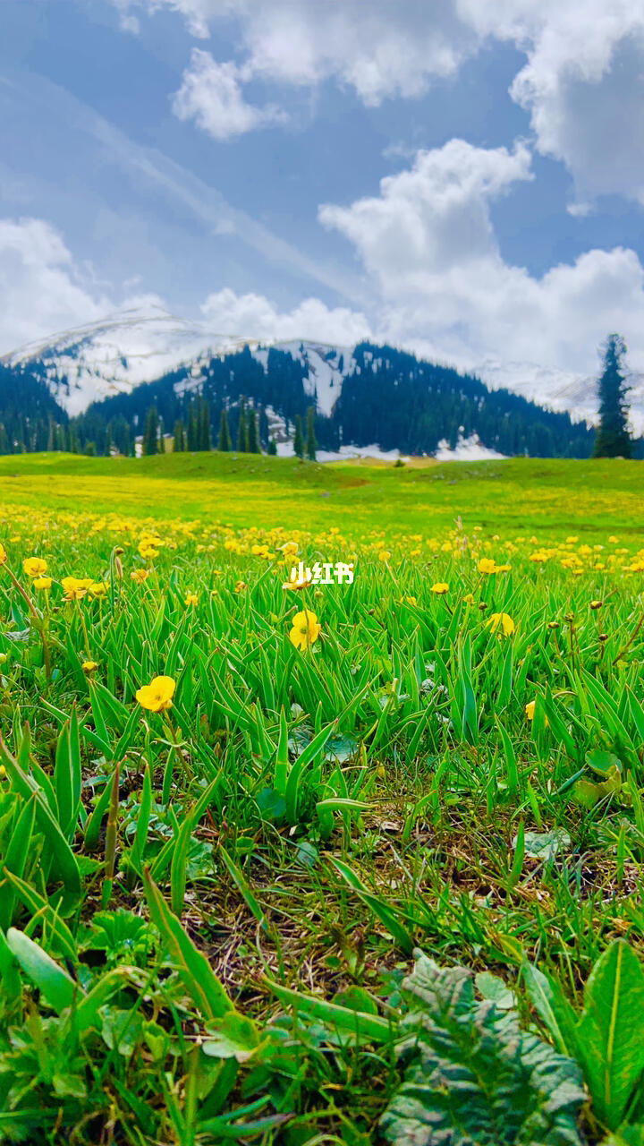 新疆伊犁那拉提草原