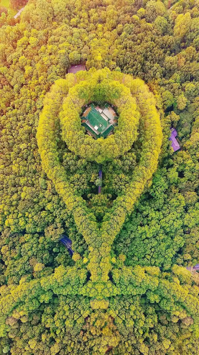 蕞美项链,拍摄了整整一年,往返南京中山陵8次,终于凑齐了美龄 - 抖音