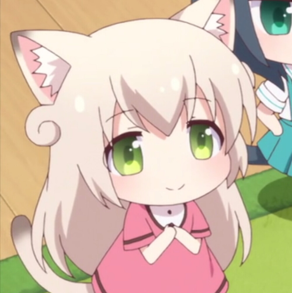 中文名猫咪日常原版名称にゃんこデイズ小新