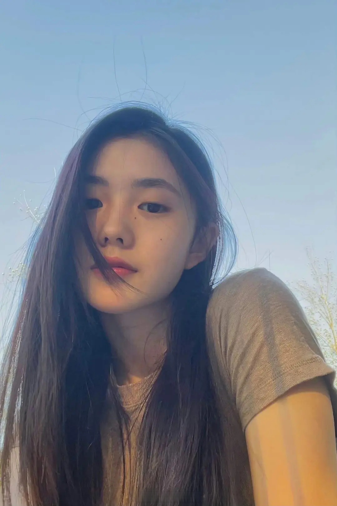 七根的招替告示看,刘浩存165体重只有八十斤,女明星的体重太恐怖了.