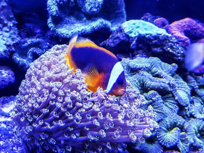 北海游记(2)--海底世界2020.11.