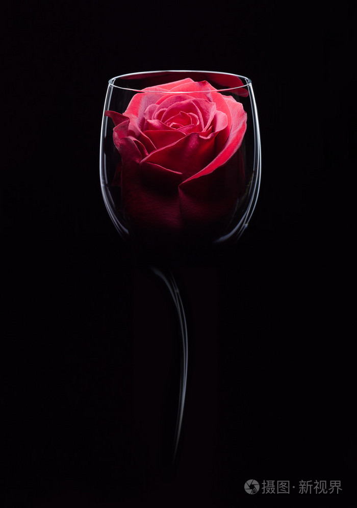 在酒杯中的红玫瑰