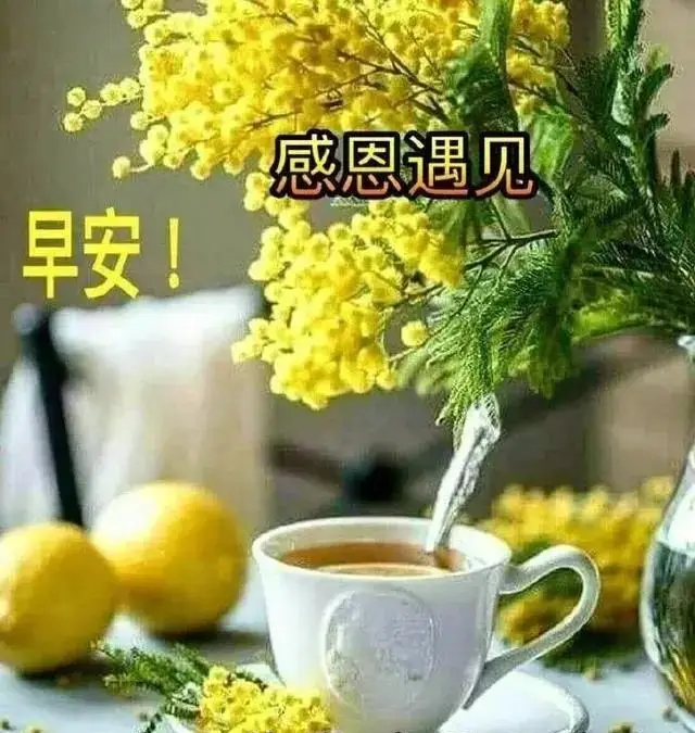 新版微信群发早上好问候表情图片带字漂亮的早上好祝福暖心语句大全