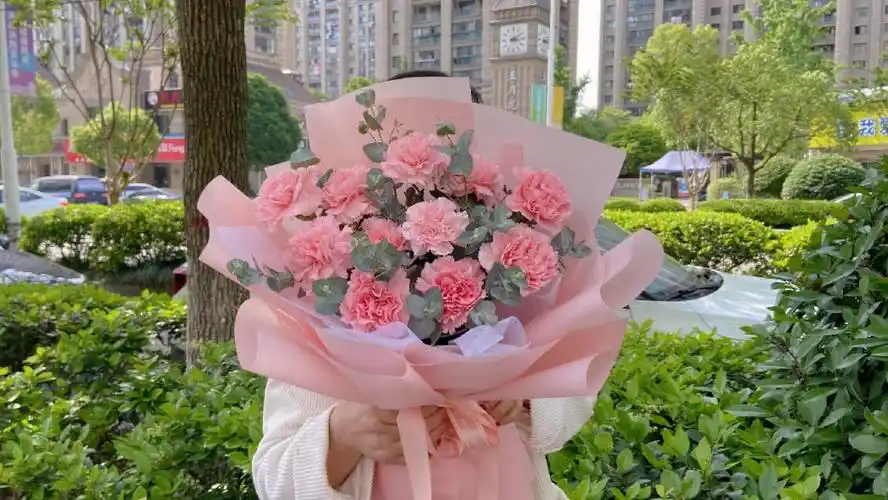 母亲节11朵康乃馨花束