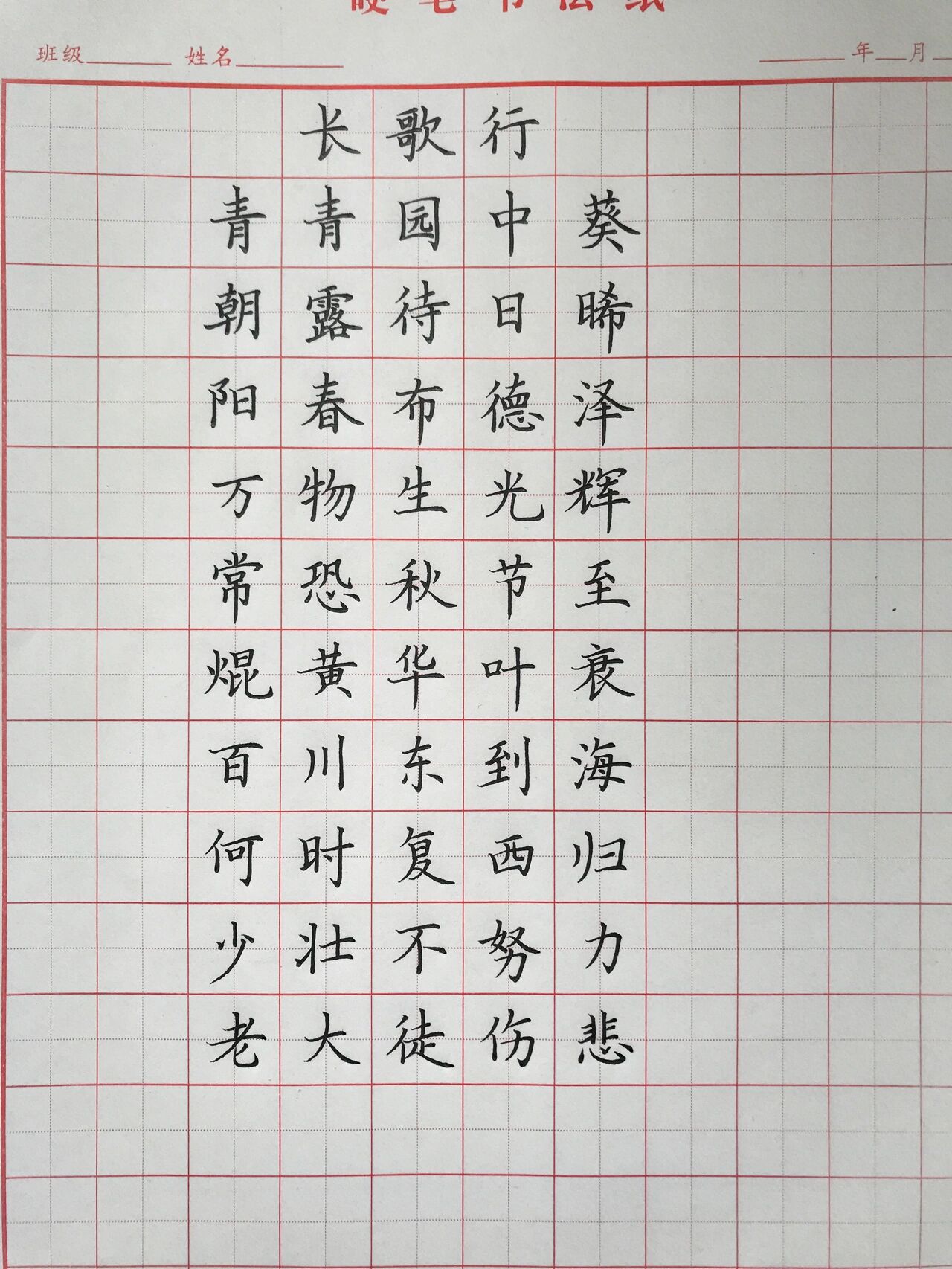 硬笔分享《长歌行》