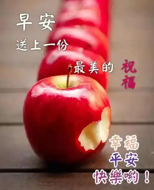 最新漂亮鲜花早上好问候动画表情图片 创意唯美早安问候祝福图片鲜花