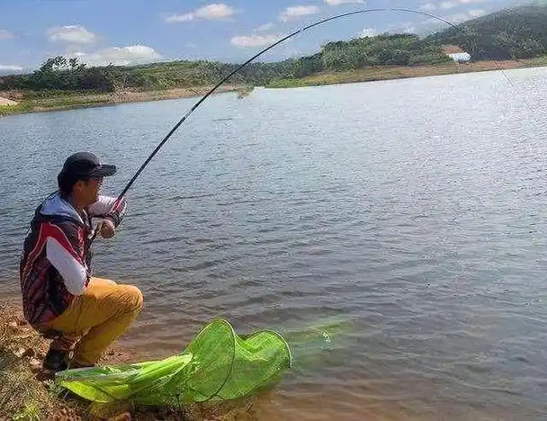 夏天钓鱼视频野钓直播视频「分享」 - 综合百科 - 绿润百科