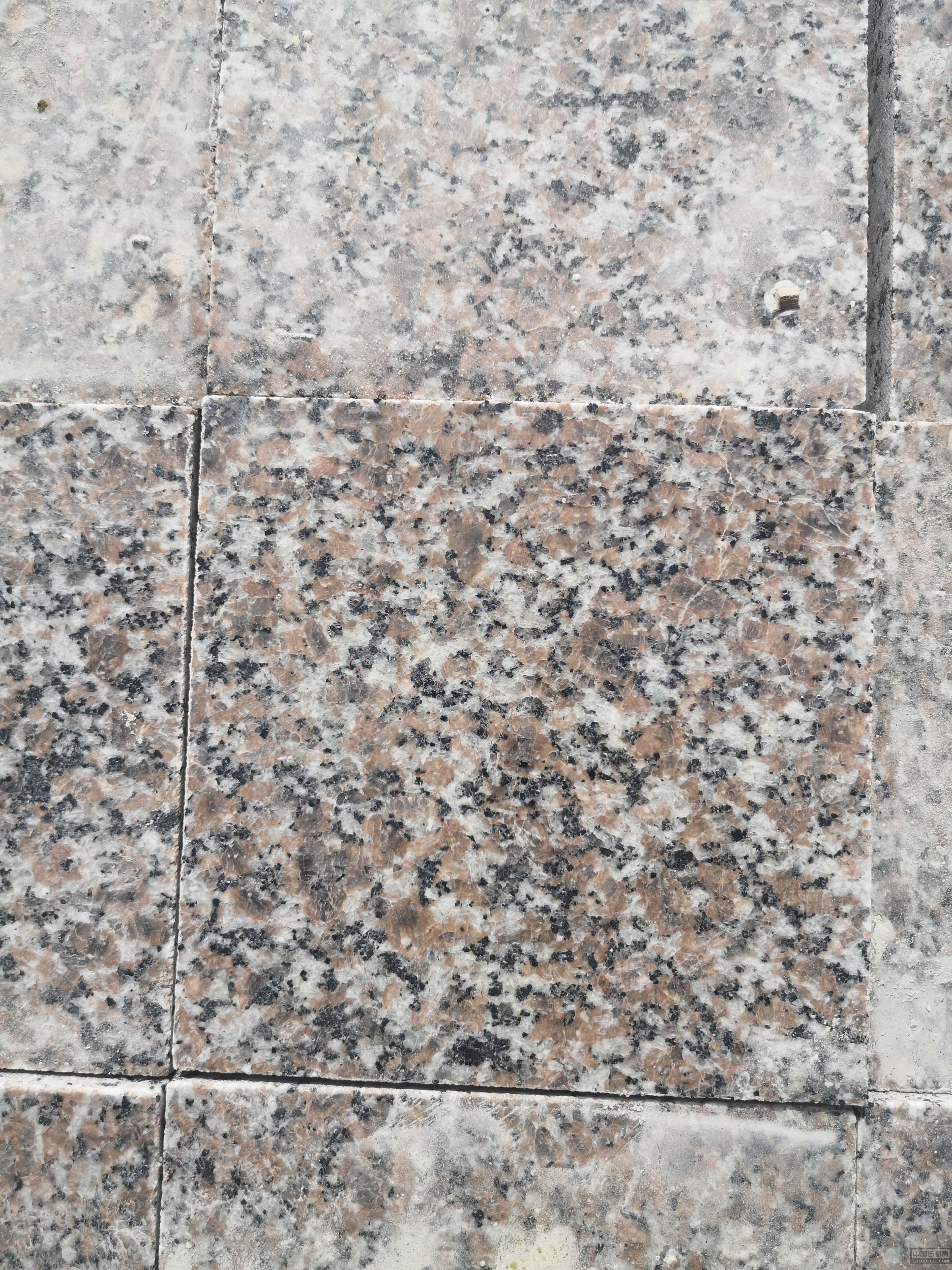 五莲花光面-日照市健华石材有限公司 - 365石材网