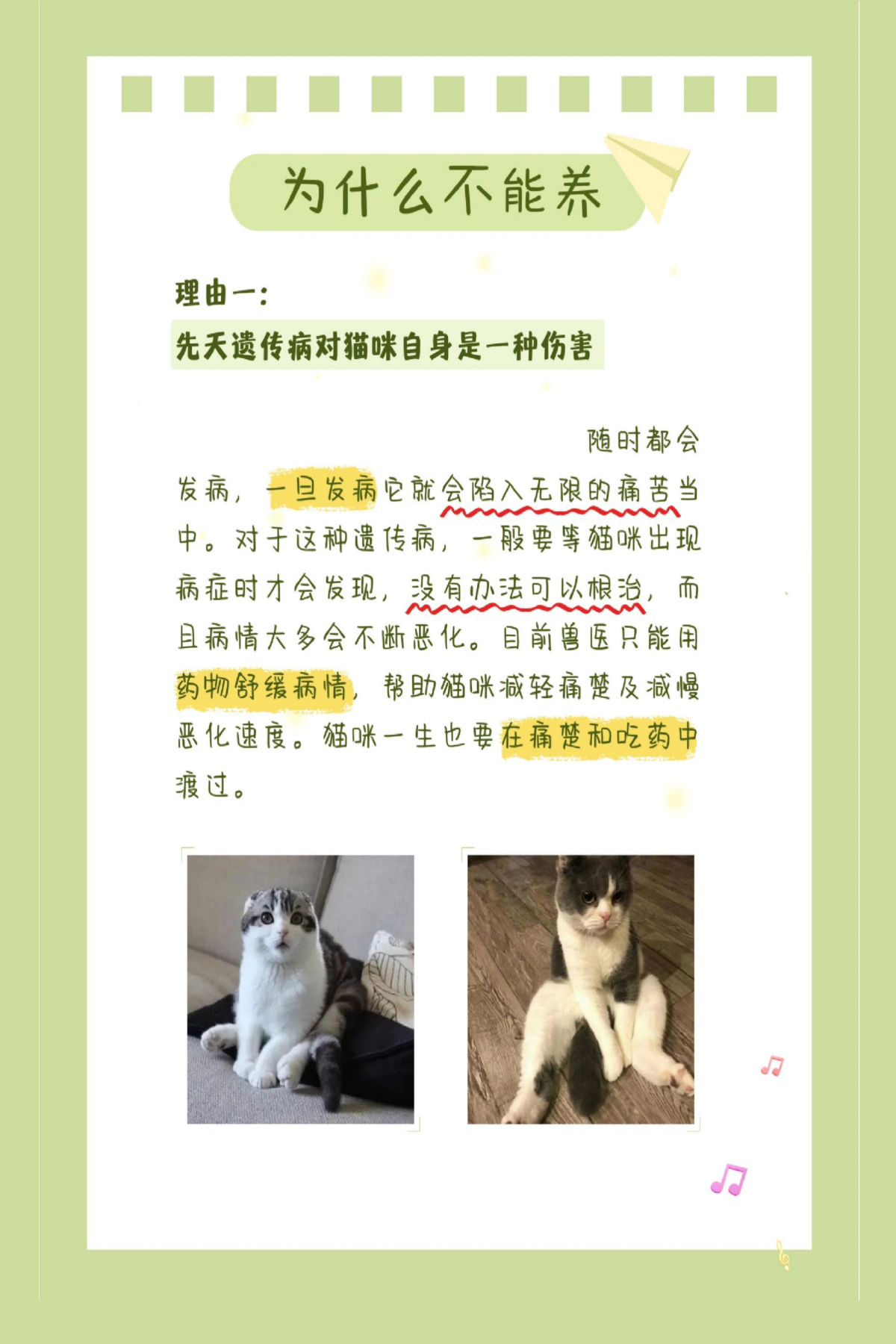 怎么还有人想养折耳猫啊  折耳猫的形态: 根折耳:耳朵完全下折,贴近
