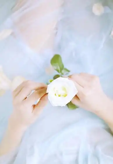 手机壁纸小清新唯美大全2018 讨厌酒的味道却爱极了醉的模样