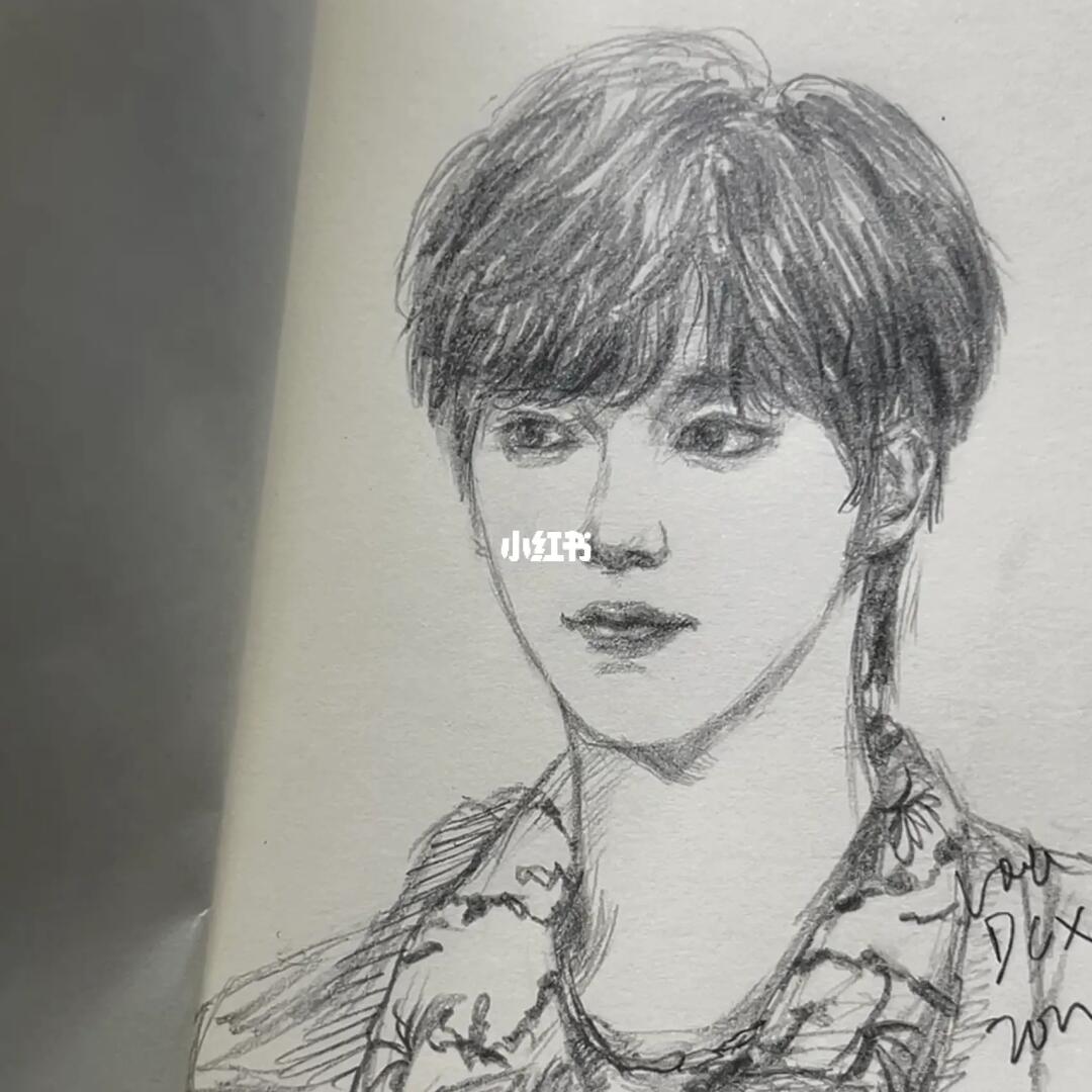 漂亮小狐狸02～#丁程鑫  #tnt时代少年团  #画画日常