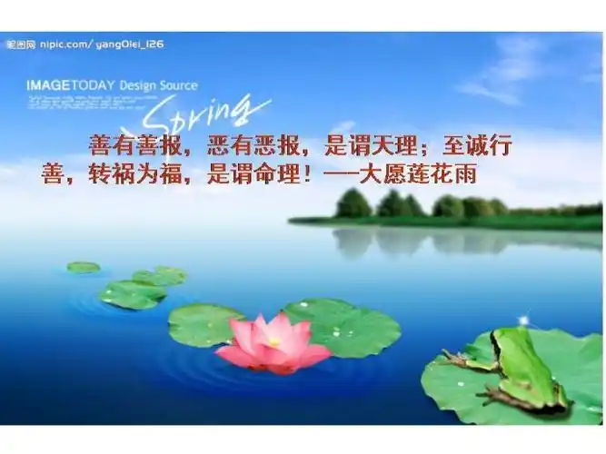 一切皆因果 - 净修 - 体悟人生