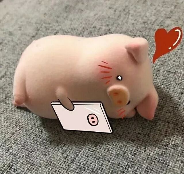 朋友圈文案配图表情包可爱的猪猪女孩