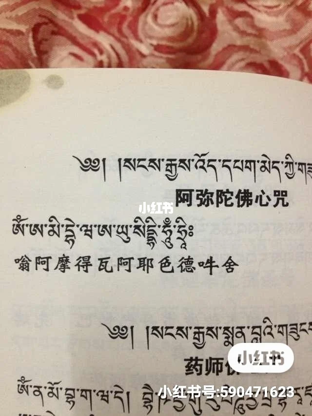 每个人最好能念诵阿弥陀佛心咒 "嗡 阿弥得瓦 阿依斯德吽舍" 30万遍.