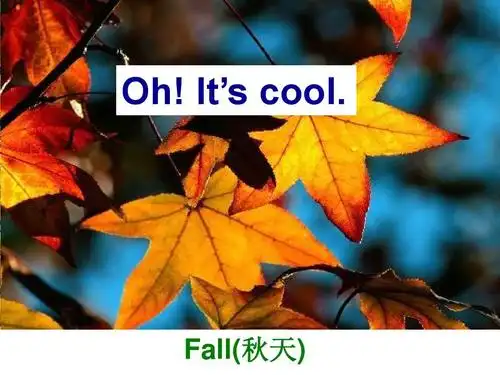 人教pep版英语四年级下册《unit 4 lesson 2(1)》课件ppt