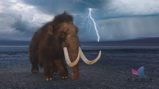 这个中国特有物种宣布灭绝:活了上亿年,却没能跨入2020年