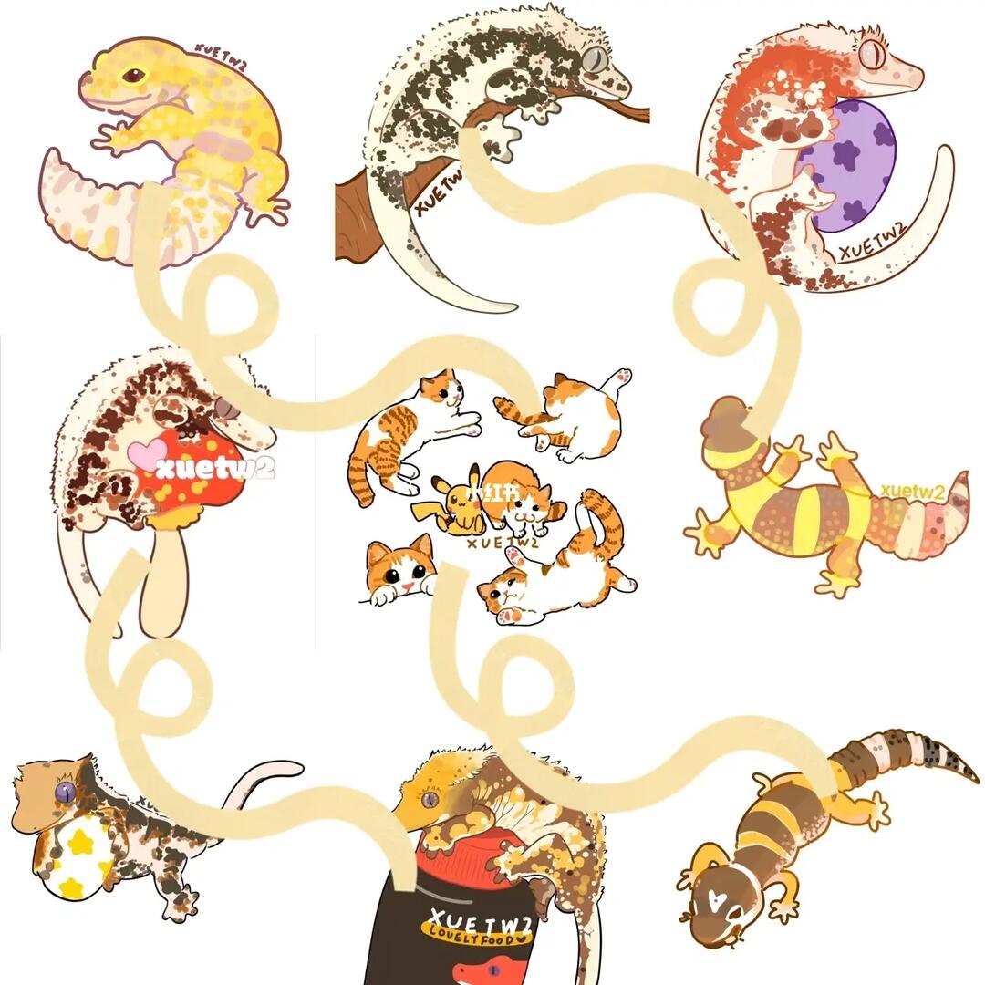 已经抽完啦,大家可以蹲蹲下次#无偿  #爬宠  #睫角守宫  #豹纹守宫