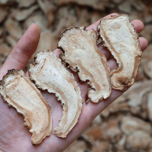 吉林长白山精品当归切片250g500g