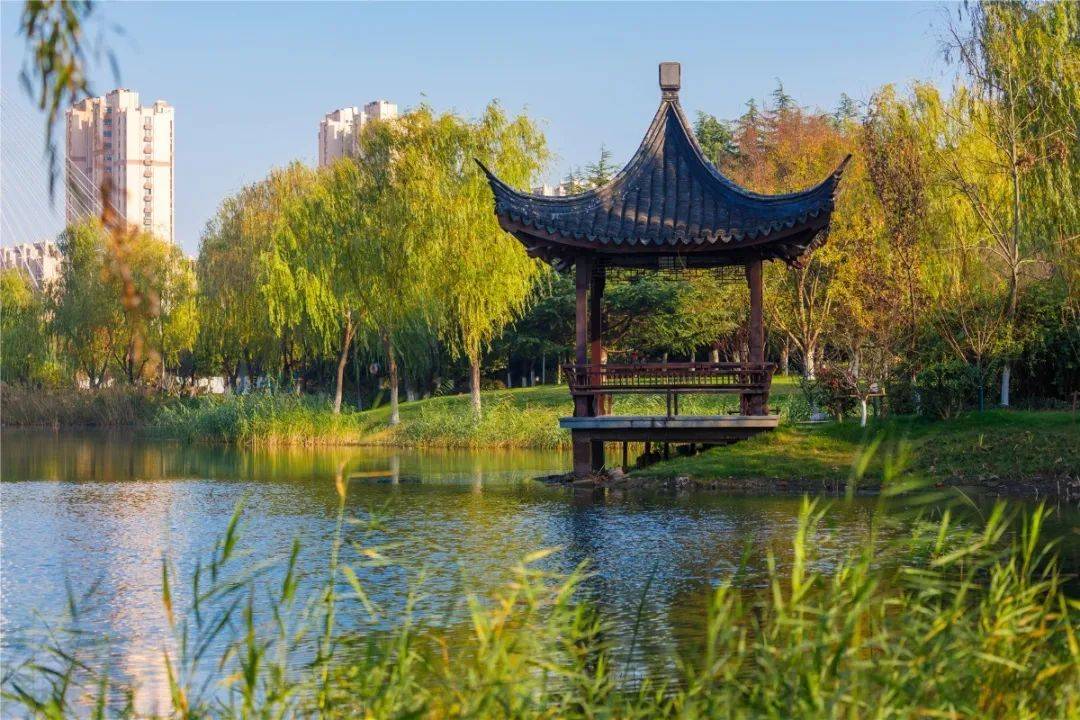 速看江阴这个公园让你眼前一亮