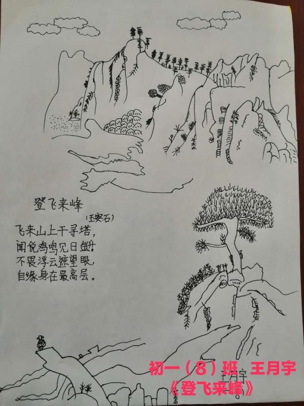 初一(8)班  王月宇手绘《登飞来峰》