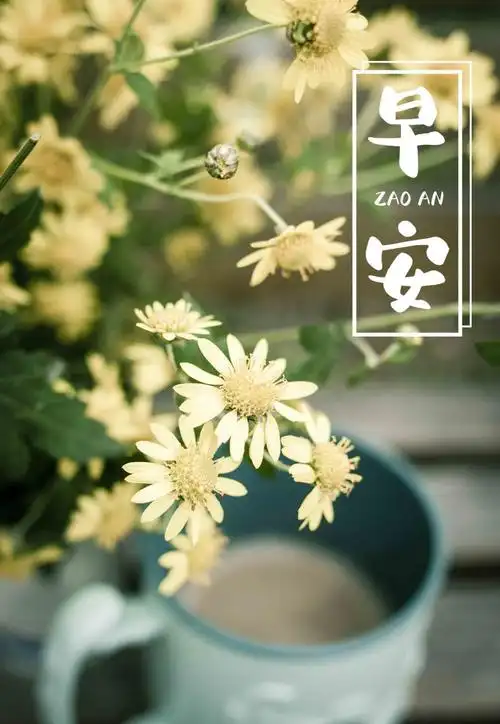2021漂亮早安带字图片