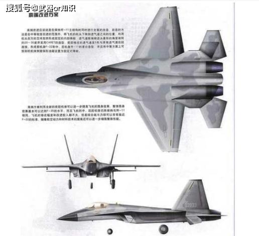 歼19到底是什么战机?这里告诉你答案 武器or知.2020.5.24 21.0万