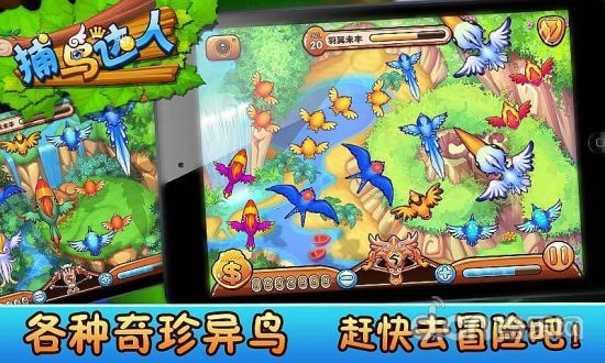 捕鸟达人2