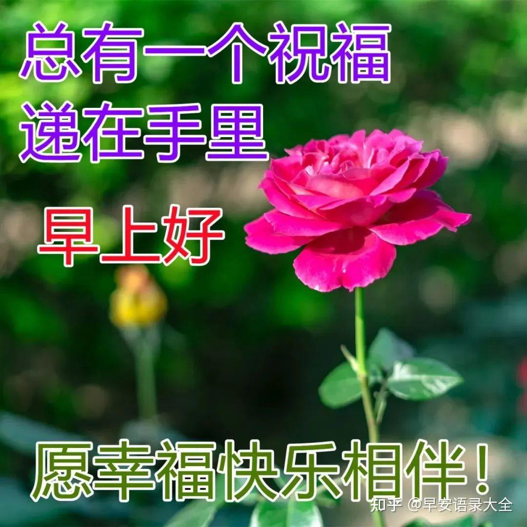 风景早上好图片带字带祝福语好看的朋友圈早安问候祝福语图片带字温馨