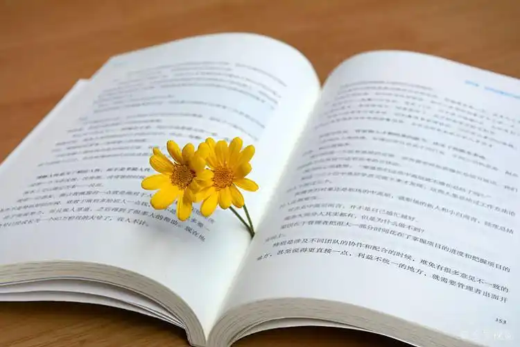 看书阅读_图片大全—全景创意图库(quanjing.