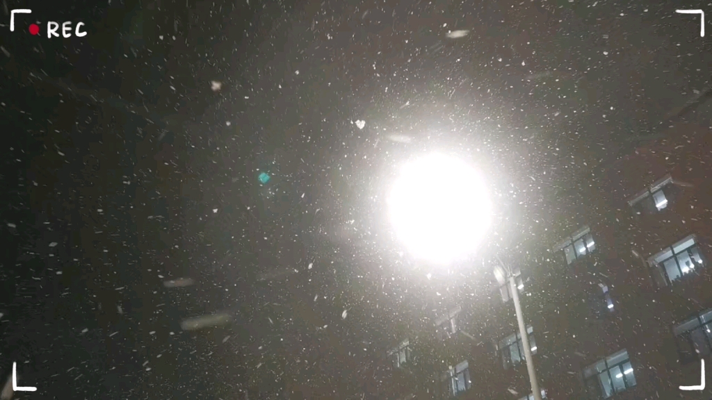今晚的哈尔滨又下雪啦