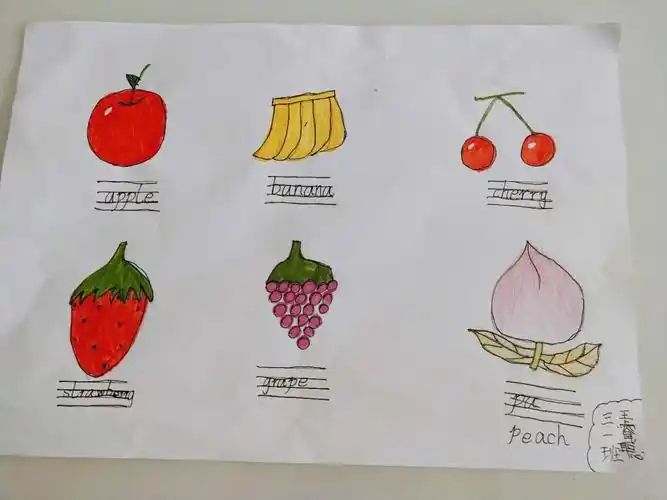 郑州一中教育集团洛阳伊河学校——三年级趣味英语(水果类)