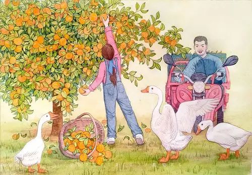 摘橘子|插画|创作习作|茹果rg - 原创作品 - 站酷 (zcool)