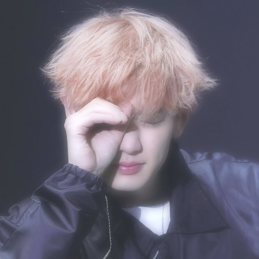 自制exo朴灿烈头像佩奇「九辞」拿图点赞收藏
