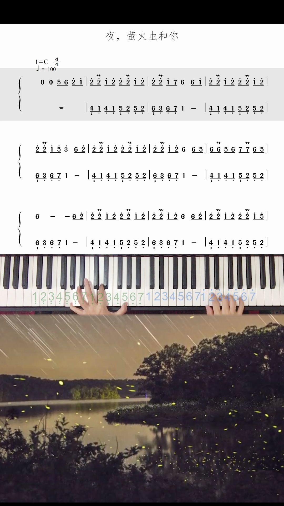 夜萤火虫和你钢琴谱