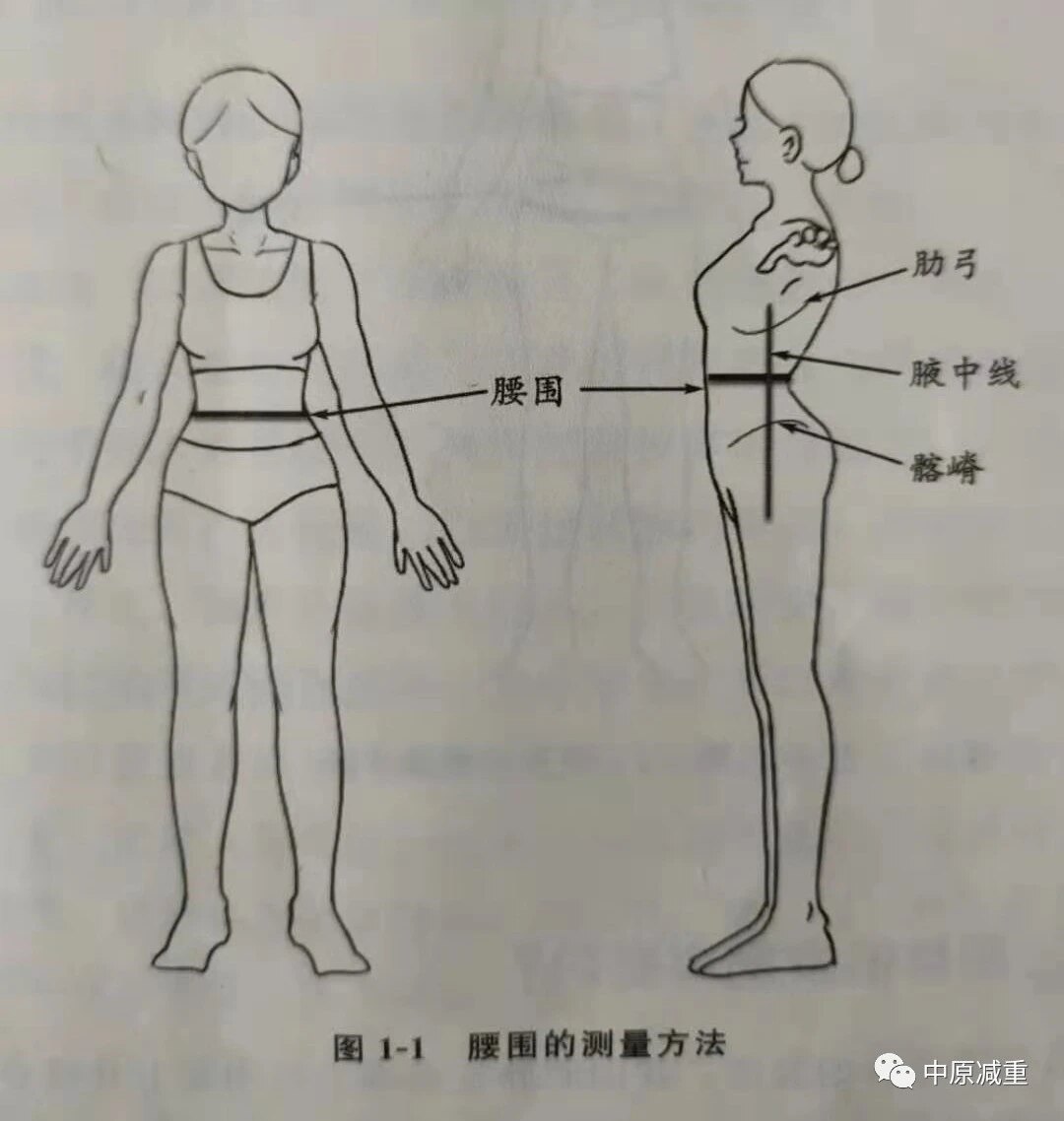 如何科学准确地测量体重,腰围和臀围?