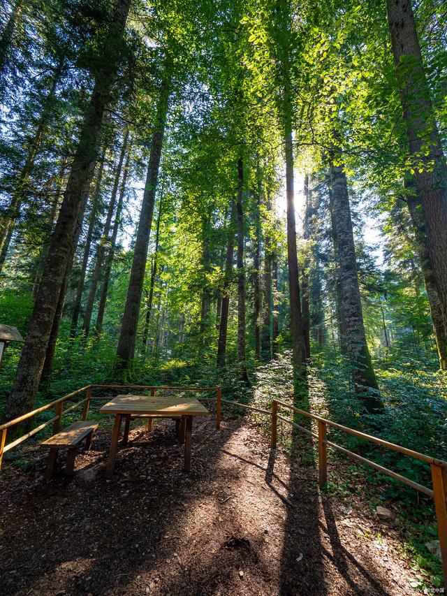 夏天来了,万物复苏,大自然也开始展现出它最美丽的一面